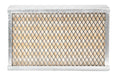 FLEETGUARD AF25374 Air Filter