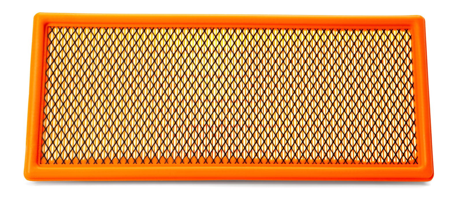 FLEETGUARD AF55741 Air Filter